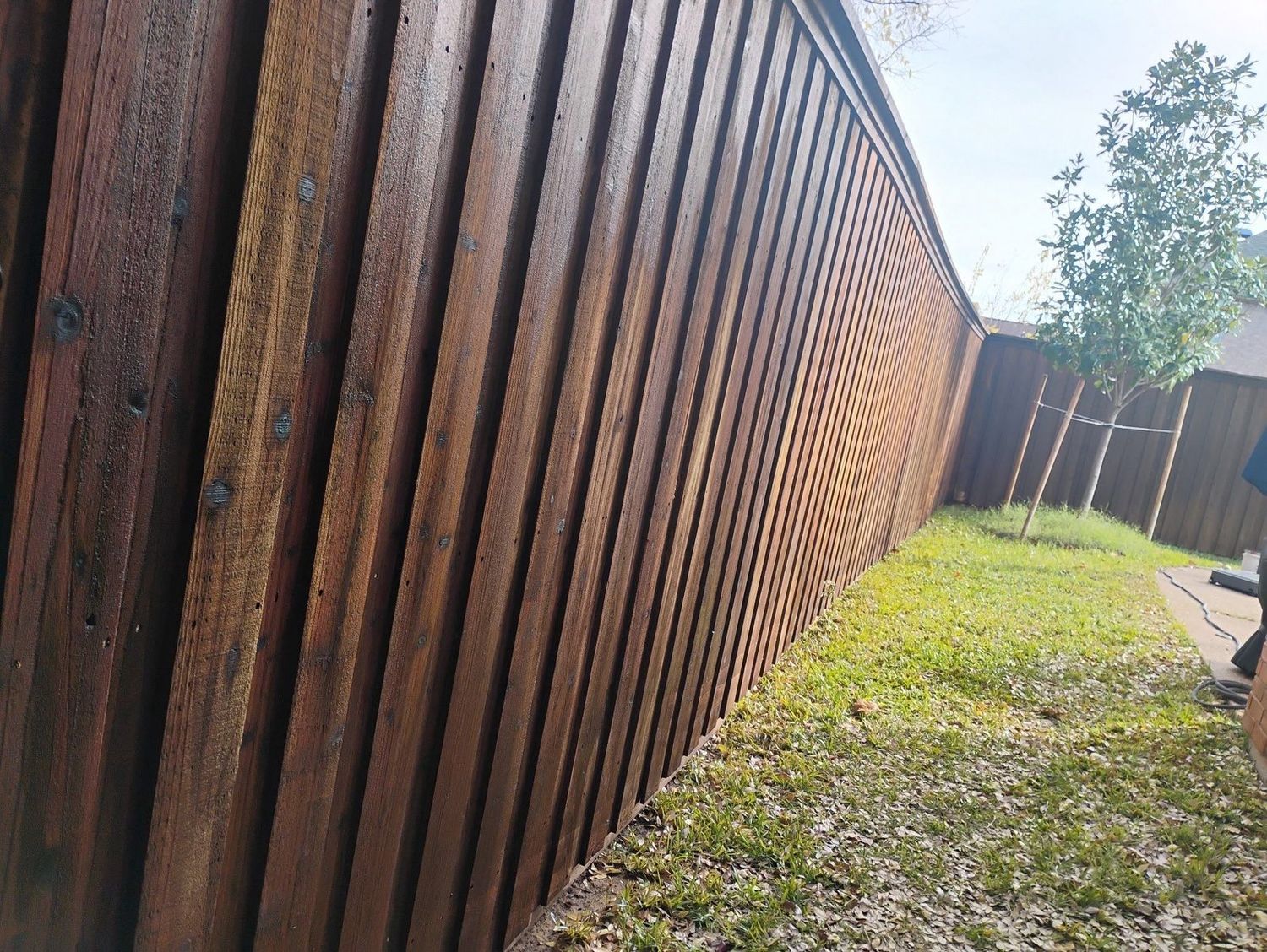 Dark walnut stained cedar privacy fence, angled view